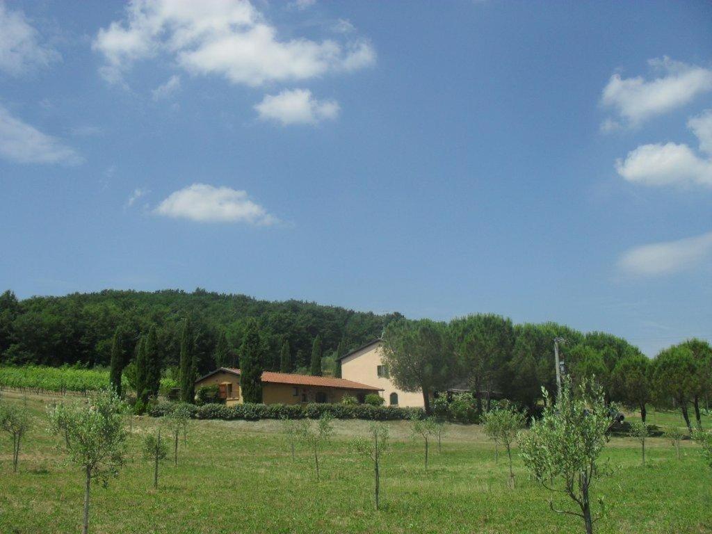Agriturismo Podere Mulinaccio Ribolla Exterior photo