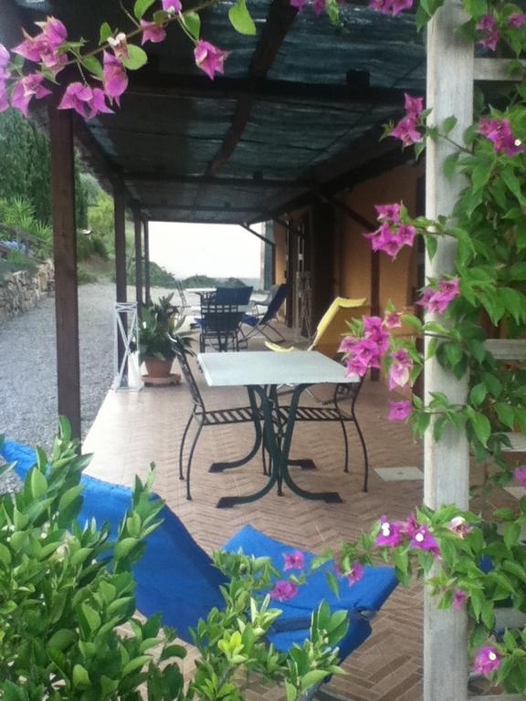 Agriturismo Podere Mulinaccio Ribolla Exterior photo